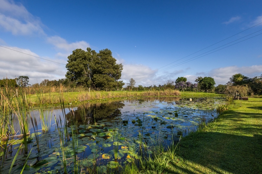 Commercial Property for Sale in Plettenberg Bay Rural Western Cape